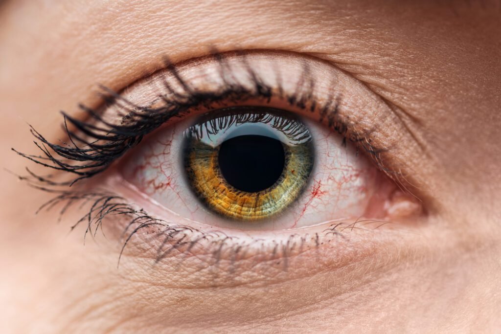 close up view of human brown and green colorful eye with eyelashes